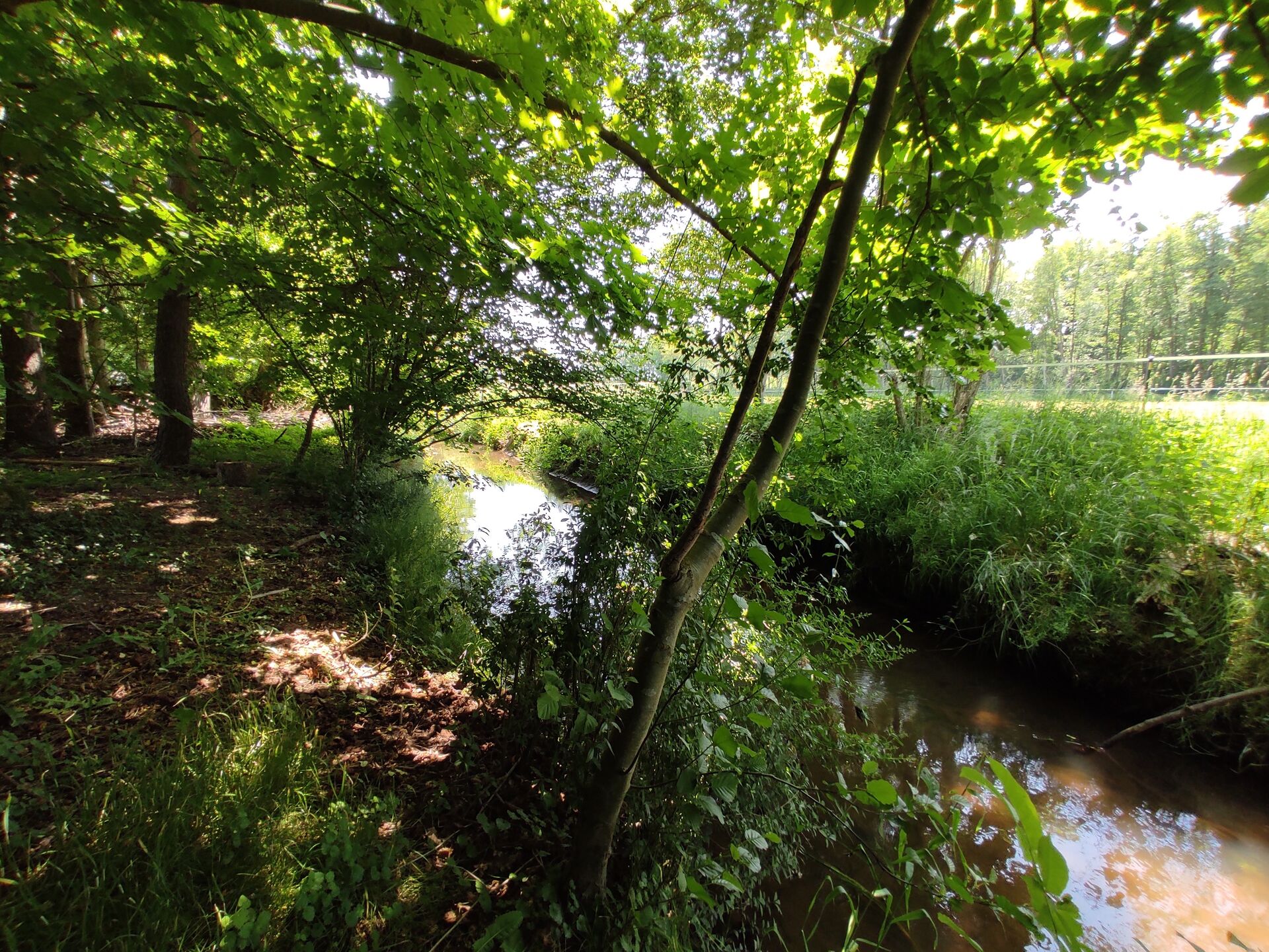 Wohnen am Bach - Im Einklang mit der Natur! in Melbeck