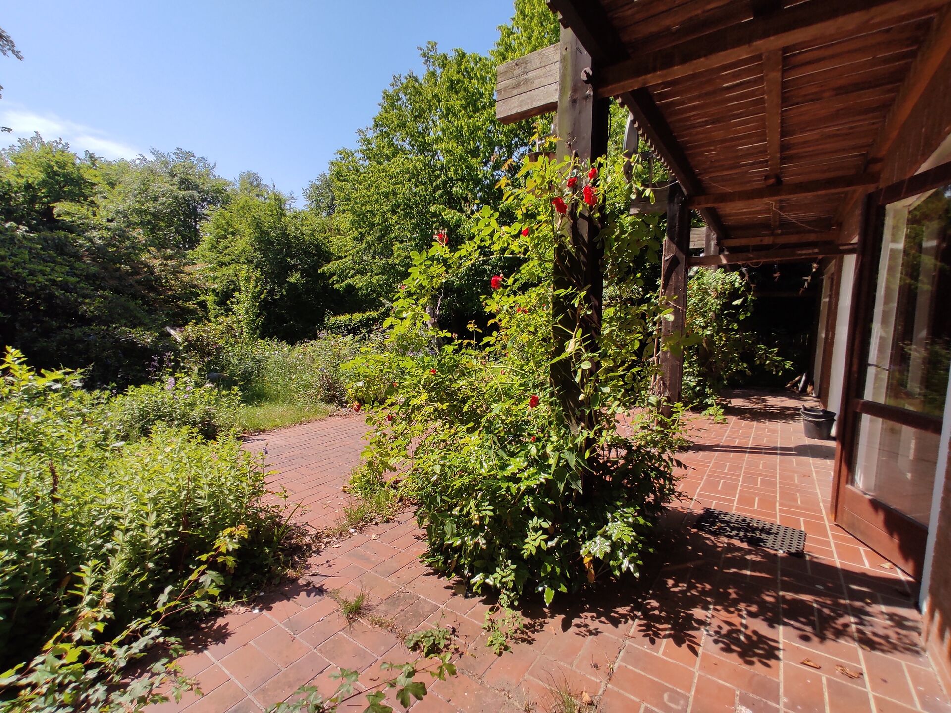 Wohnen am Bach - Im Einklang mit der Natur! in Melbeck