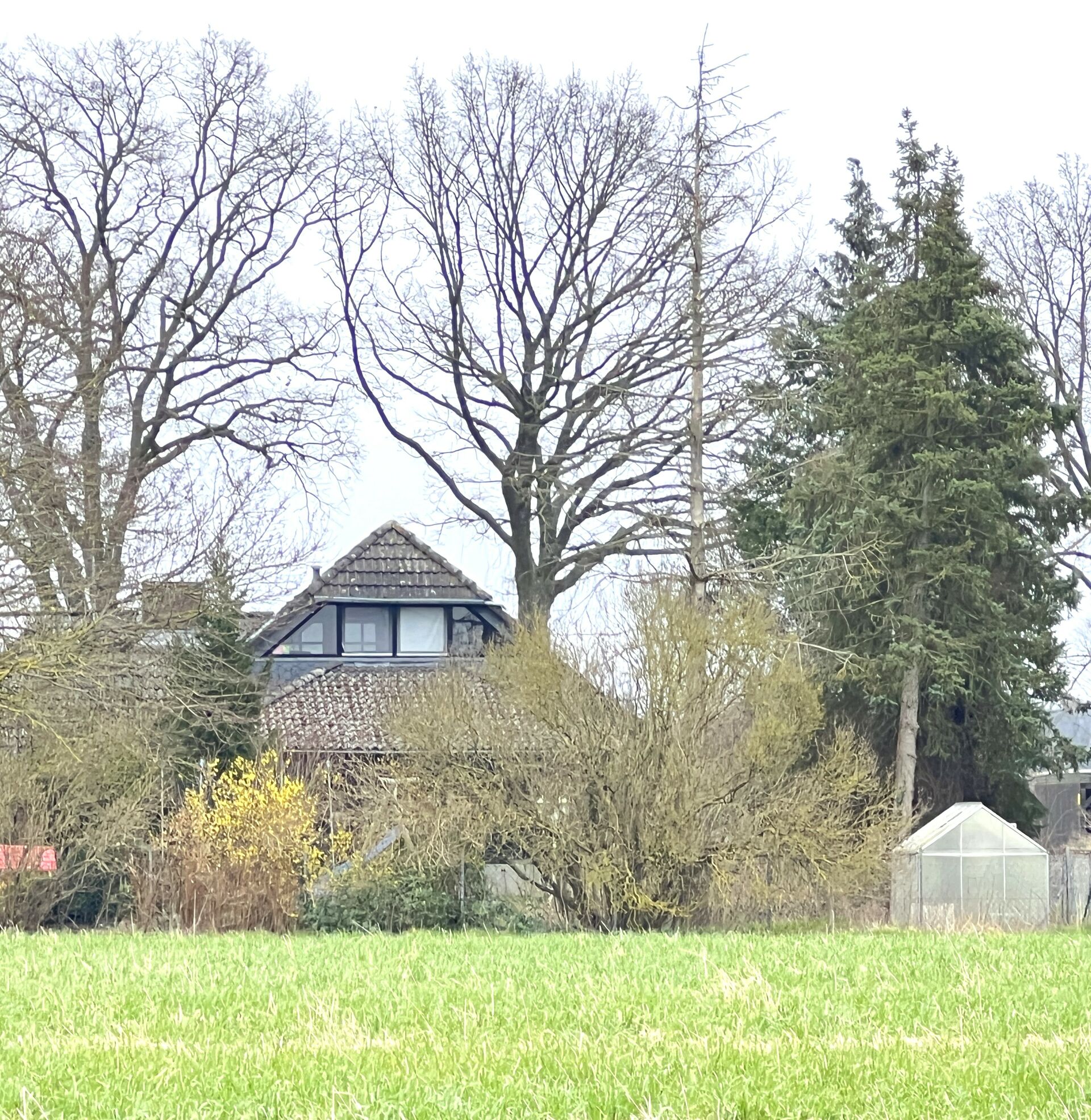 Fachwerktraum im Naturschutzgebiet in Dannenberg