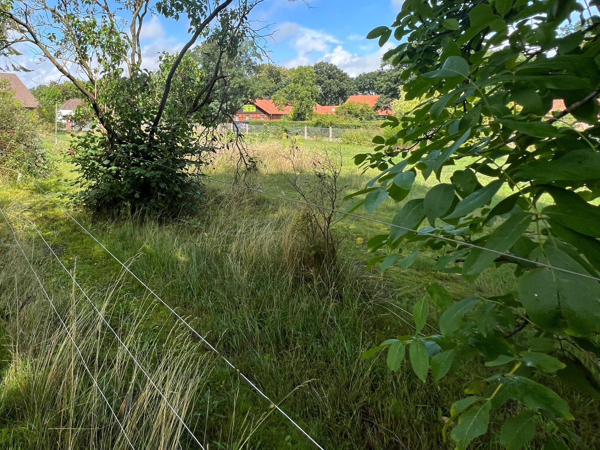 Großzügiges Eckgrundstück zwischen Dannenberg (Elbe) und Hitzacker ( Elbe) in Dannenberg