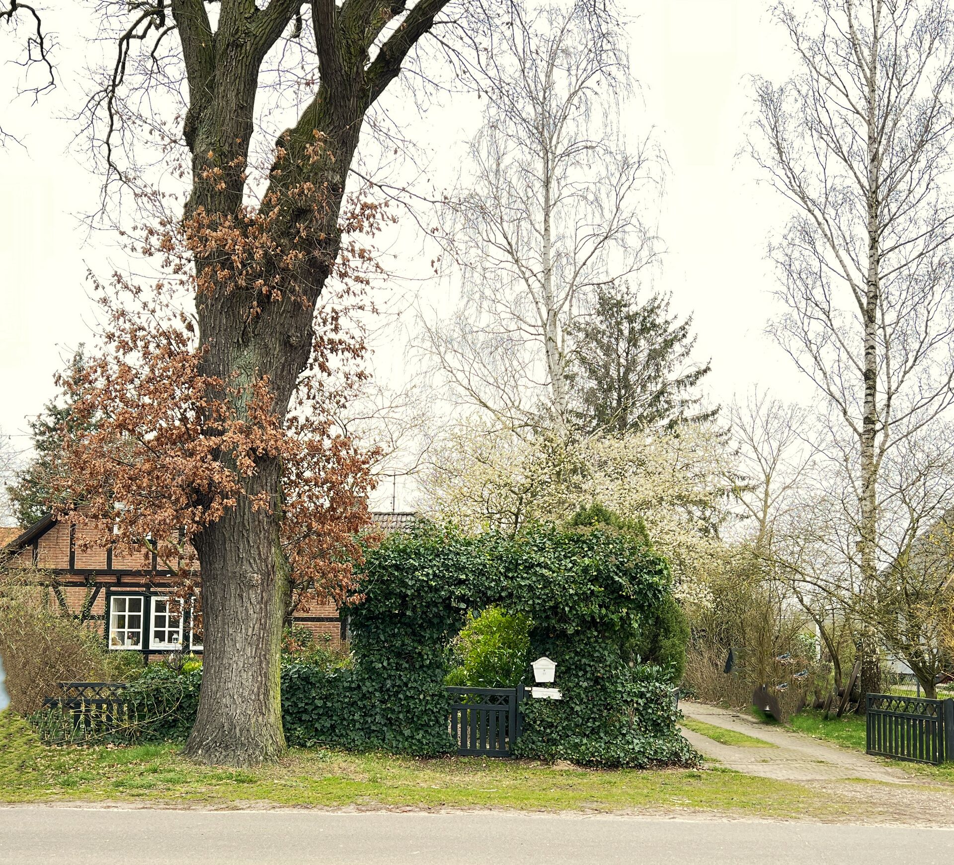 Fachwerktraum im Naturschutzgebiet in Dannenberg