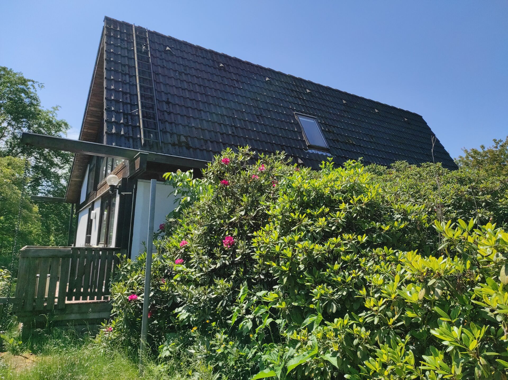 Wohnen am Bach - Im Einklang mit der Natur! in Melbeck