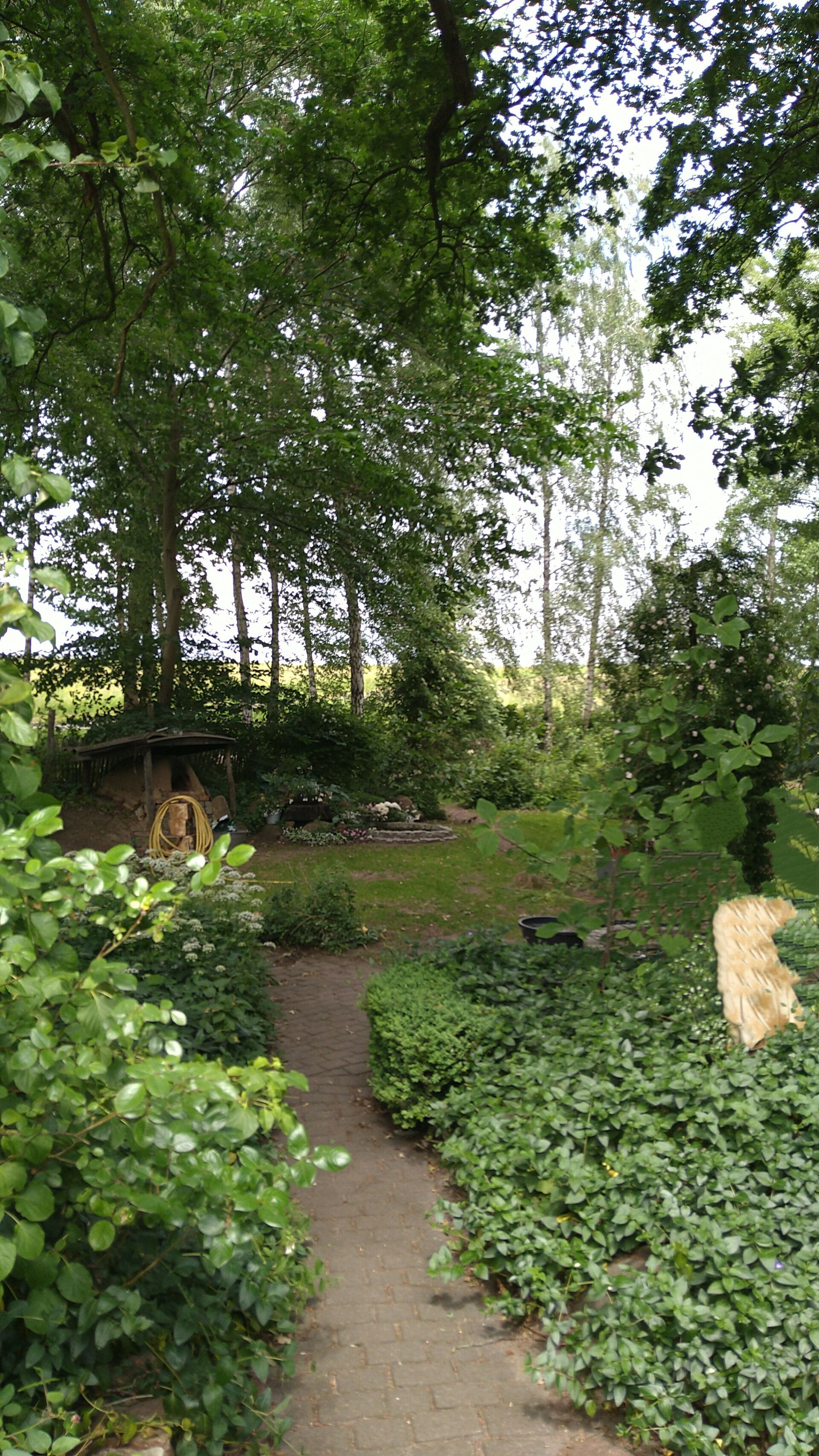 Besonderes Wohnen in natürlicher Lage in Hittbergen