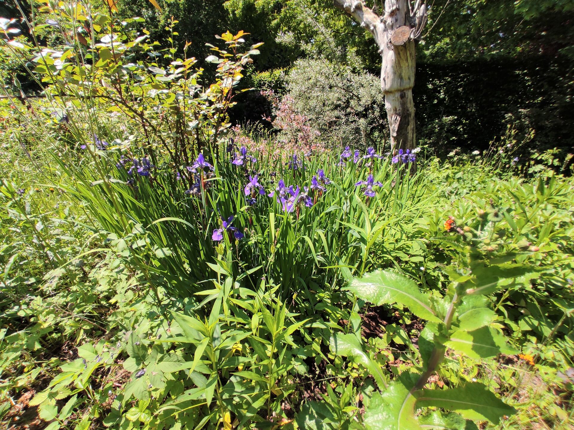 Wohnen am Bach - Im Einklang mit der Natur! in Melbeck