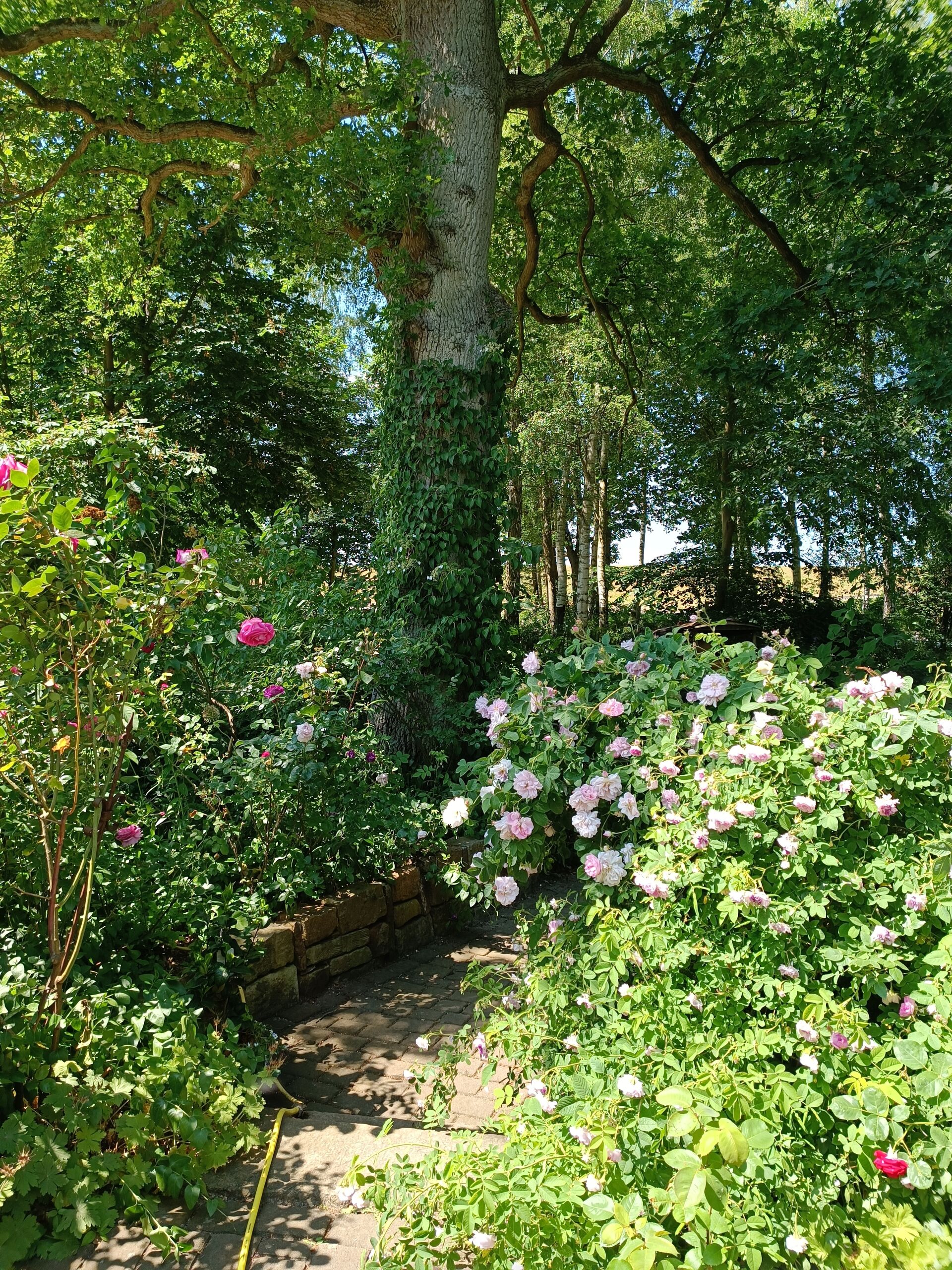 Besonderes Wohnen in natürlicher Lage in Hittbergen